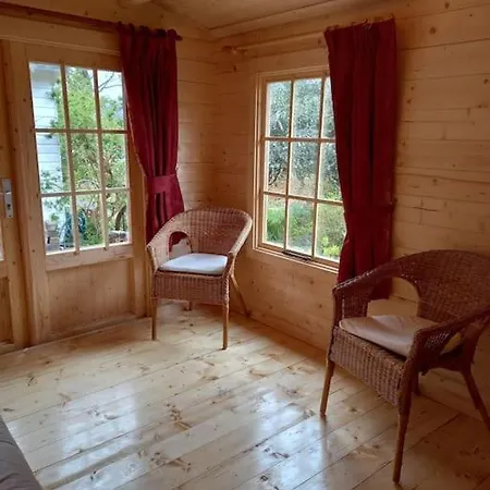 Tan Y Coed'S Rosemary Cabin Conwy Exterior photo