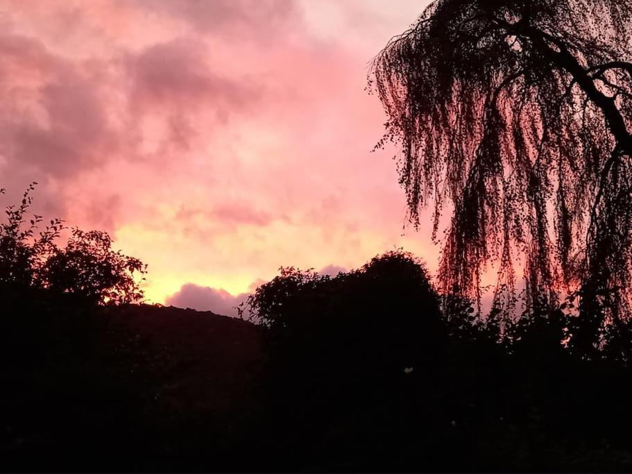 Tan Y Coed's Rosemary Conwy