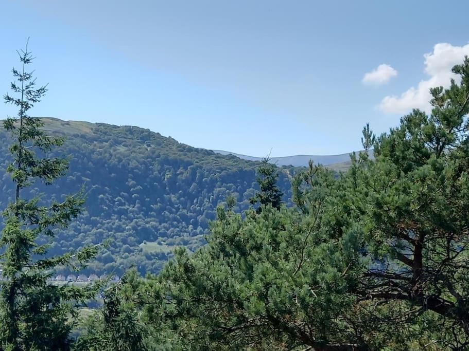 Tan Y Coed's Rosemary *