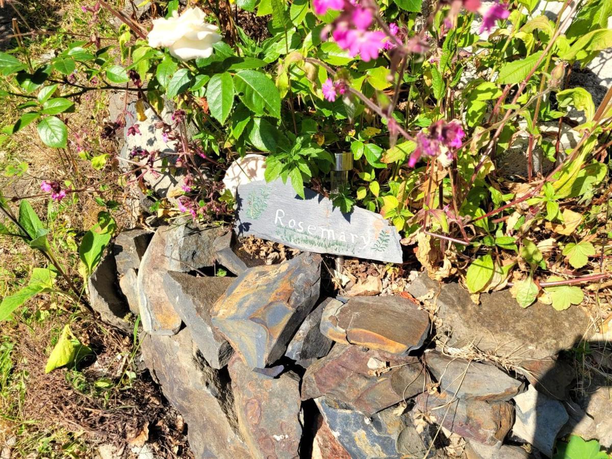 Holiday home Tan Y Coed's Rosemary